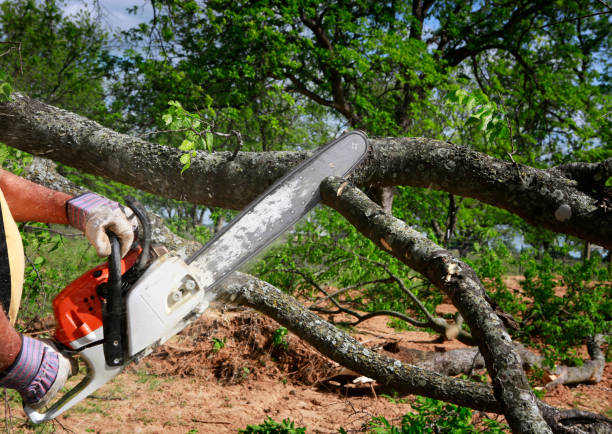 Mulching Services in Finneytown, OH